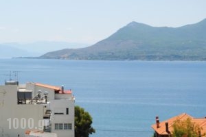 Hotel Kalypso_best deals_Hotel_Central Greece_Evia_Edipsos