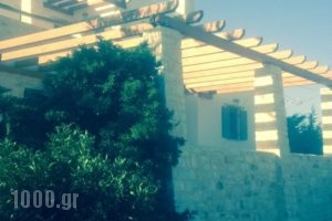 Villa Archilochos_best prices_in_Villa_Cyclades Islands_Paros_Paros Chora
