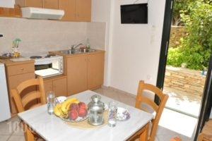 Handakas Studios_accommodation_in_Hotel_Cyclades Islands_Andros_Andros City