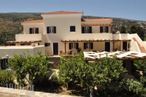 Handakas Studios_holidays_in_Hotel_Cyclades Islands_Andros_Andros City