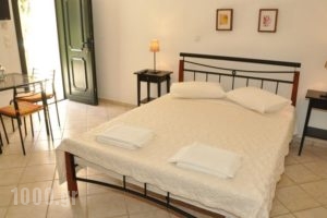 Handakas Studios_lowest prices_in_Hotel_Cyclades Islands_Andros_Andros City