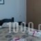 Hotel Andreas_lowest prices_in_Hotel_Piraeus Islands - Trizonia_Agistri_Agistri Rest Areas