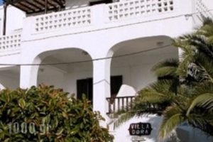 Villa Dora Studios 1_travel_packages_in_Cyclades Islands_Andros_Andros City