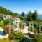 Thassian Villas_holidays_in_Villa_Aegean Islands_Thasos_Thasos Chora