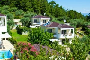Thassian Villas_accommodation_in_Villa_Aegean Islands_Thasos_Thasos Chora