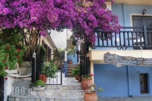 Dominici_lowest prices_in_Hotel_Macedonia_Halkidiki_Ierissos