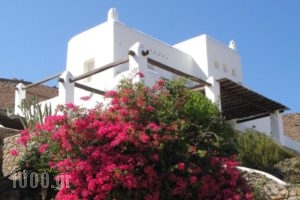 Villas Kappas_holidays_in_Villa_Cyclades Islands_Mykonos_Tourlos