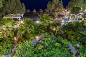 Oceanis Bay_best prices_in_Hotel_Cyclades Islands_Sandorini_Fira
