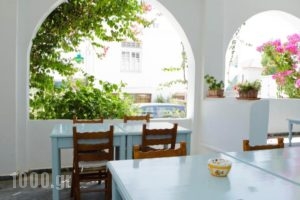 Karanasos_holidays_in_Hotel_Cyclades Islands_Andros_Batsi