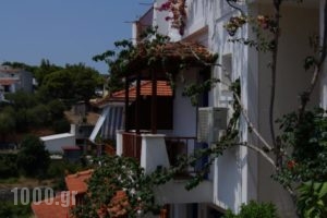 Stella Studios_lowest prices_in_Hotel_Sporades Islands_Alonnisos_Patitiri