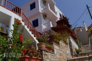 Stella Studios_holidays_in_Hotel_Sporades Islands_Alonnisos_Patitiri