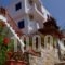 Stella Studios_holidays_in_Hotel_Sporades Islands_Alonnisos_Patitiri