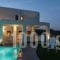 Elea Villas_best deals_Villa_Crete_Chania_Pirgos Psilonerou
