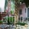 Mirella Studios_holidays_in_Hotel_Peloponesse_Argolida_Nafplio