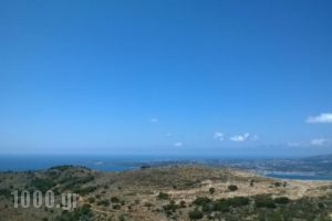 Asteras Studios_lowest prices_in_Hotel_Ionian Islands_Kefalonia_Argostoli