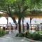 Ikaria Utopia - Cusco Studios_travel_packages_in_Aegean Islands_Ikaria_Evdilos