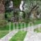 Athina Rooms_best deals_Room_Thessaly_Magnesia_Pilio Area
