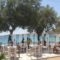 Krios Beach Camping_holidays_in_Hotel_Cyclades Islands_Paros_Paros Chora