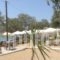 Krios Beach Camping_best prices_in_Hotel_Cyclades Islands_Paros_Paros Chora