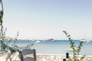 Camping Koula_lowest prices_in_Hotel_Cyclades Islands_Paros_Paros Chora