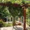 Ikaria Utopia - Cusco Studios_best deals_Hotel_Aegean Islands_Ikaria_Evdilos