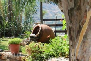 Ikaria Utopia - Cusco Studios_best prices_in_Hotel_Aegean Islands_Ikaria_Evdilos