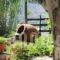 Ikaria Utopia - Cusco Studios_best prices_in_Hotel_Aegean Islands_Ikaria_Evdilos