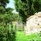 Remenata_best deals_Hotel_Ionian Islands_Kefalonia_Kefalonia'st Areas