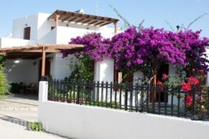 Deidamia Hotel_accommodation_in_Hotel_Sporades Islands_Skyros_Linaria