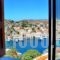Villa Pavlos_travel_packages_in_Dodekanessos Islands_Simi_Symi Chora