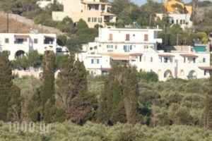 Theofilos Appartements_best deals_Hotel_Piraeus islands - Trizonia_Kithira_Kithira Chora