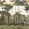 Theofilos Appartements_best deals_Hotel_Piraeus islands - Trizonia_Kithira_Kithira Chora