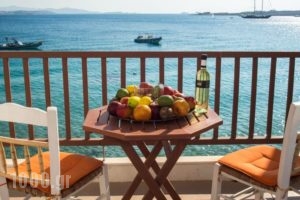 Petalides Apartments_accommodation_in_Apartment_Cyclades Islands_Paros_Paros Chora