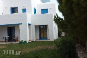 Epinio_accommodation_in_Hotel_Cyclades Islands_Antiparos_Antiparos Chora