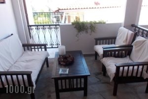 Elsa Apartments_holidays_in_Apartment_Macedonia_Halkidiki_Haniotis - Chaniotis