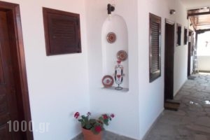 Elsa Apartments_best prices_in_Apartment_Macedonia_Halkidiki_Haniotis - Chaniotis