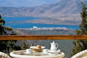 Delphi Palace_holidays_in_Hotel_Central Greece_Fokida_Delfi