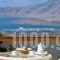 Delphi Palace_holidays_in_Hotel_Central Greece_Fokida_Delfi