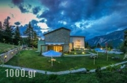 Anavasi Mountain Resort in Pramanda, Ioannina, Epirus