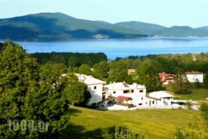 Silva Suites_holidays_in_Hotel_Thessaly_Karditsa_Neochori