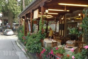 Ria Rooms_best prices_in_Room_Thessaly_Magnesia_Agios Lavrendios