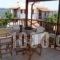 Villa Helidoni_accommodation_in_Villa_Crete_Chania_Nopigia