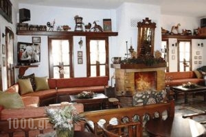 Hotel Petrino_best prices_in_Hotel_Thessaly_Magnesia_Zagora