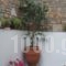 Villa Gallini_lowest prices_in_Villa_Sporades Islands_Alonnisos_Patitiri