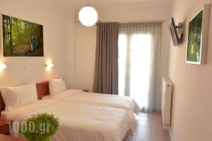 Olympus Hotel Villa Drosos_best deals_Villa_Macedonia_Pieria_Litochoro