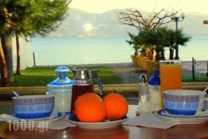 Hotel Kiani Akti_best prices_in_Hotel_Peloponesse_Achaia_Selianitika