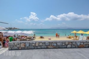 Naxian Althea_travel_packages_in_Cyclades Islands_Naxos_Naxos chora