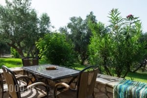 Koroni Village_holidays_in_Hotel_Thessaly_Magnesia_Koropi