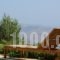 Saronida View Villa_best deals_Villa_Central Greece_Attica_Anabyssos