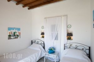 Apollon-Artemis Apartments_lowest prices_in_Apartment_Cyclades Islands_Sifnos_Apollonia